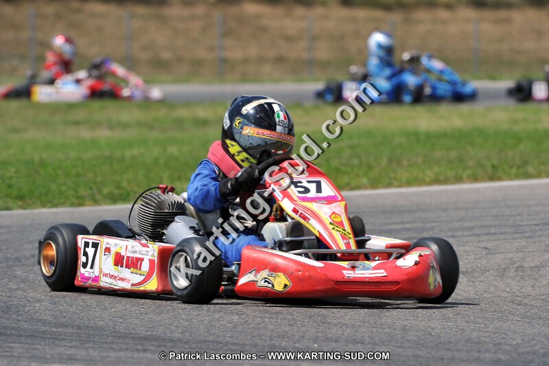 DSC_ (350).jpg